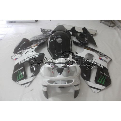 02-06 Kawasaki NINJA ZX12R DESIGN 24